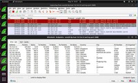 Wireshark Screenshot B
